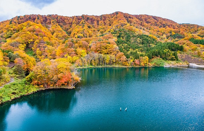 東北青森．白神山地７日